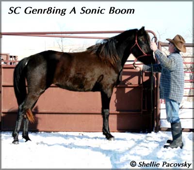 SC GENR8ING A SONIC BOOM #20401255